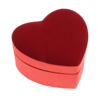 Coeur double (14 praline)