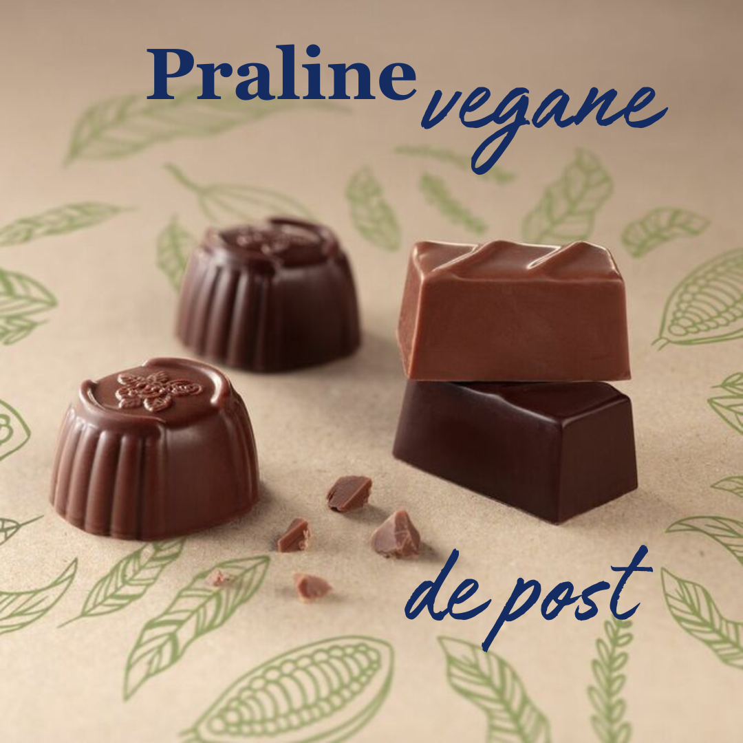 Ballotin praline vegane 250 grame - imagine 2